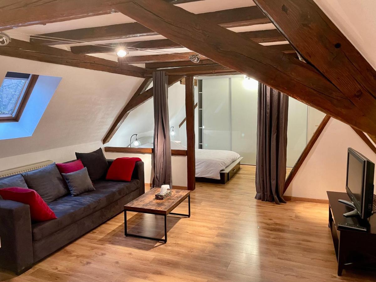 Ferienwohnung Le Petit Linck - Typique Au Coeur De Colmar Exterior foto